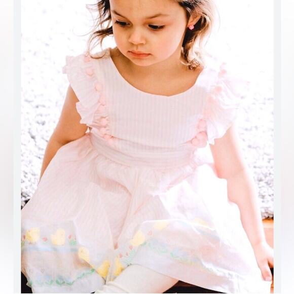 Maggie & Zoe Other - Maggie & Zoe Pink Dress Yellow Ducks Cottage Girly Photos Pom Poms Milkmaid 3T